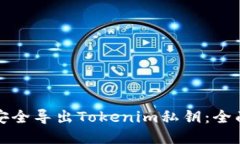 如何安全导出Tokenim私钥：全面指南