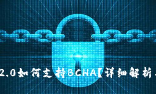 imToken 2.0如何支持BCHA？详细解析与使用指南