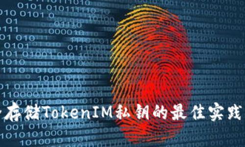 安全存储TokenIM私钥的最佳实践指南