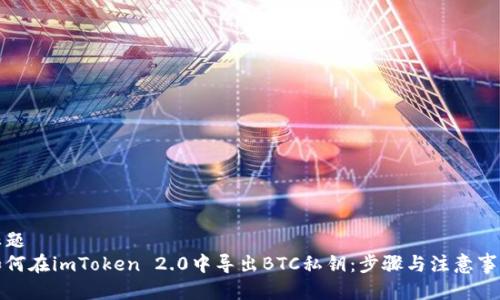 标题
如何在imToken 2.0中导出BTC私钥：步骤与注意事项