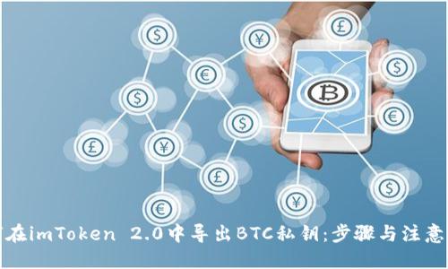 标题
如何在imToken 2.0中导出BTC私钥：步骤与注意事项