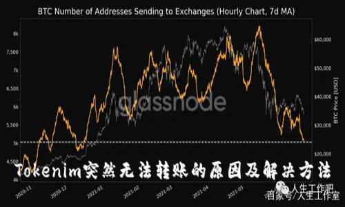 Tokenim突然无法转账的原因及解决方法