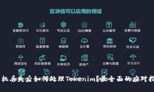 手机丢失后如何处理Tokenim？最全面的应对指南