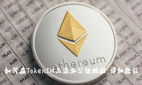 如何在TokenIM上添加公链地址：详细教程