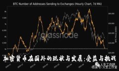 加密货币在国外的现状与发展：受益与挑战