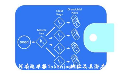 如何有效举报Tokenim地址及其潜在风险