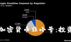 标题深入解析加密货币非小号：投资者的最佳工