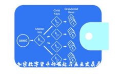 加密数字货币的崛起与未来发展展望