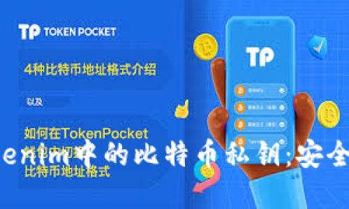  理解Tokenim中的比特币私钥：安全性与应用