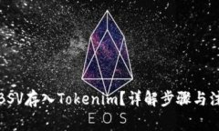 如何将BSV存入Tokenim？详解步骤与注意事项