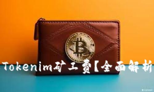 如何自定义Tokenim矿工费？全面解析与实用技巧