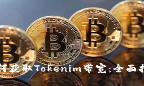 如何获取Tokenim带宽：全面指南