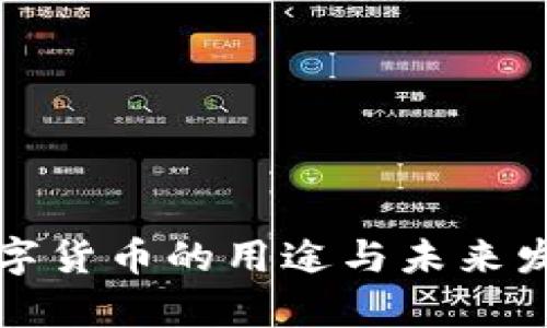 加密数字货币的用途与未来发展解析