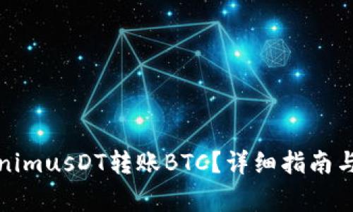 如何利用TokenimusDT转账BTC？详细指南与常见问题解答