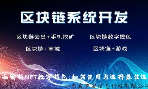 全面解析NFT数字钱包：如何使用与选择最佳选项