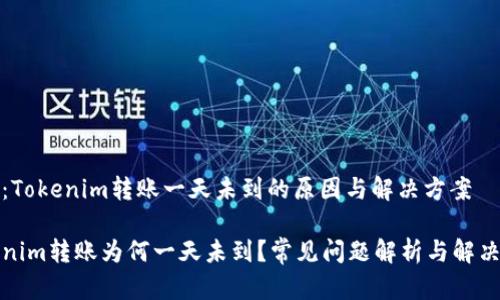 讨论：Tokenim转账一天未到的原因与解决方案

Tokenim转账为何一天未到？常见问题解析与解决方案