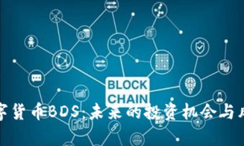 加密数字货币BDS：未来的投资机会与风险分析