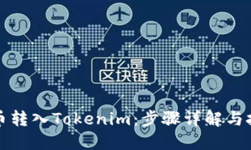 如何将币转入Tokenim：步骤详解与技巧分享