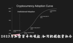 2023年加密货币的崛起：如何把握投资机会