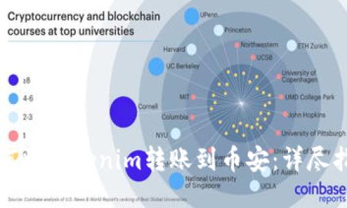 如何将Tokenim转账到币安：详尽指南