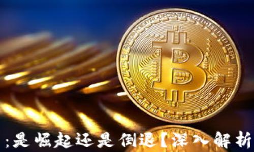 
加密货币：是崛起还是倒退？深入解析行业未来