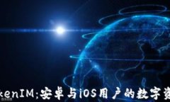 全面解读TokenIM：安卓与iOS用户的数字资产安全利