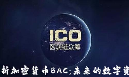 
深入解析加密货币BAC：未来的数字资产之星