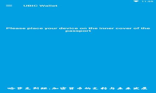 哈萨克斯坦：加密货币的支持与未来发展