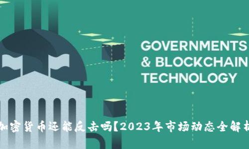 加密货币还能反击吗？2023年市场动态全解析
