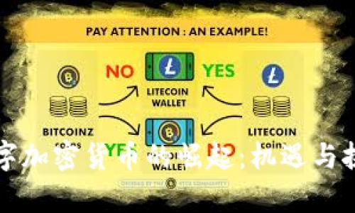 深圳数字加密货币的崛起：机遇与挑战分析