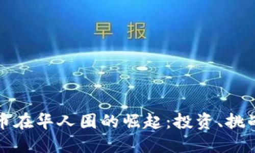加密货币在华人圈的崛起：投资、挑战与未来