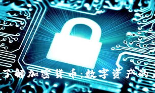 biaso深入了解加密货币：数字资产的未来与挑战