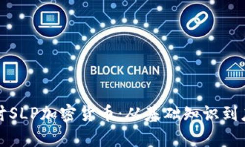 深入探讨SLP加密货币：从基础知识到应用前景