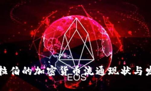 沙特阿拉伯的加密货币流通现状与发展前景