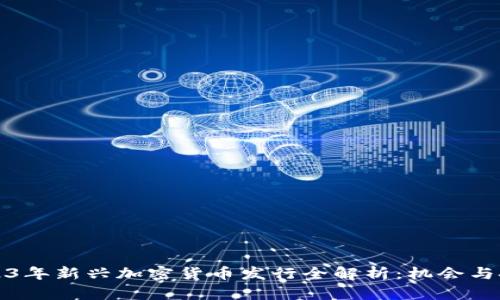 2023年新兴加密货币发行全解析：机会与挑战