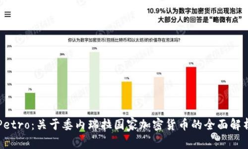 Petro：关于委内瑞拉国家加密货币的全面解析