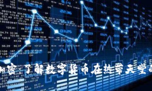 夏威夷货币加密：了解数字货币在热带天堂的应用与前景