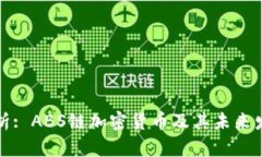 深入解析: ABS链加密货币及其未来发展前景