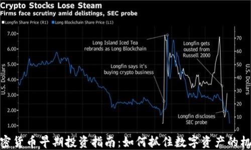 
加密货币早期投资指南：如何抓住数字资产的机遇