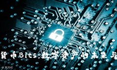 揭秘加密货币Bits：数字资产的未来与投资机会