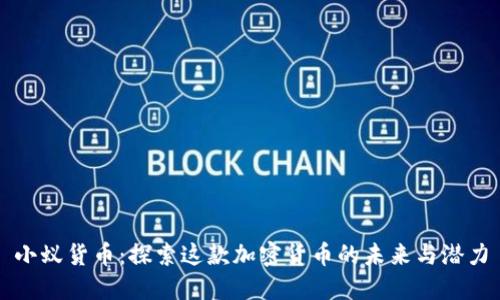 小蚁货币：探索这款加密货币的未来与潜力