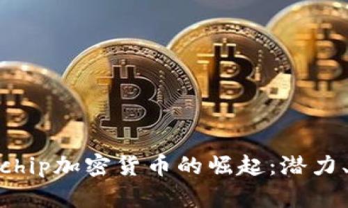 2023年Plachip加密货币的崛起：潜力、机遇与挑战