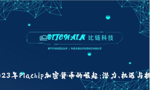 2023年Plachip加密货币的崛起：潜力、机遇与挑战