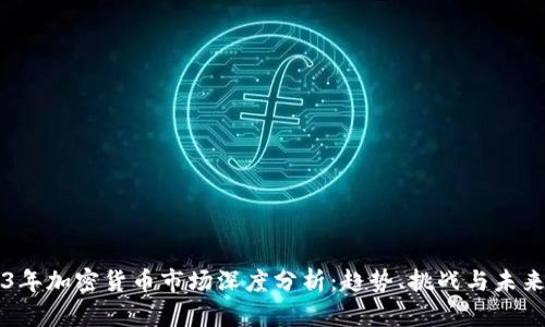 2023年加密货币市场深度分析：趋势、挑战与未来展望
