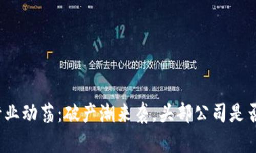 加密货币行业动荡：破产潮来袭，头部公司是否还能存活？