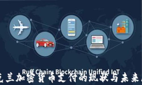 
乌克兰加密货币支付的现状与未来展望