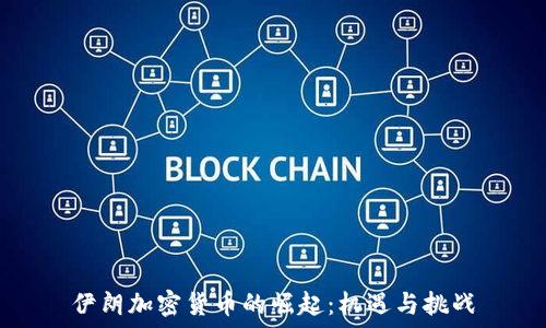  
伊朗加密货币的崛起：机遇与挑战