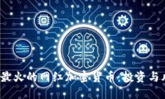 2023年最火的网红加密货币：投资与风险详解