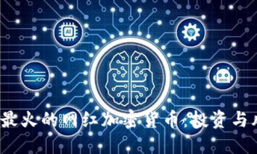 2023年最火的网红加密货币：投资与风险详解