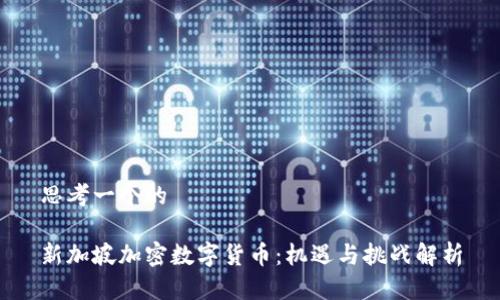 思考一个的

新加坡加密数字货币：机遇与挑战解析